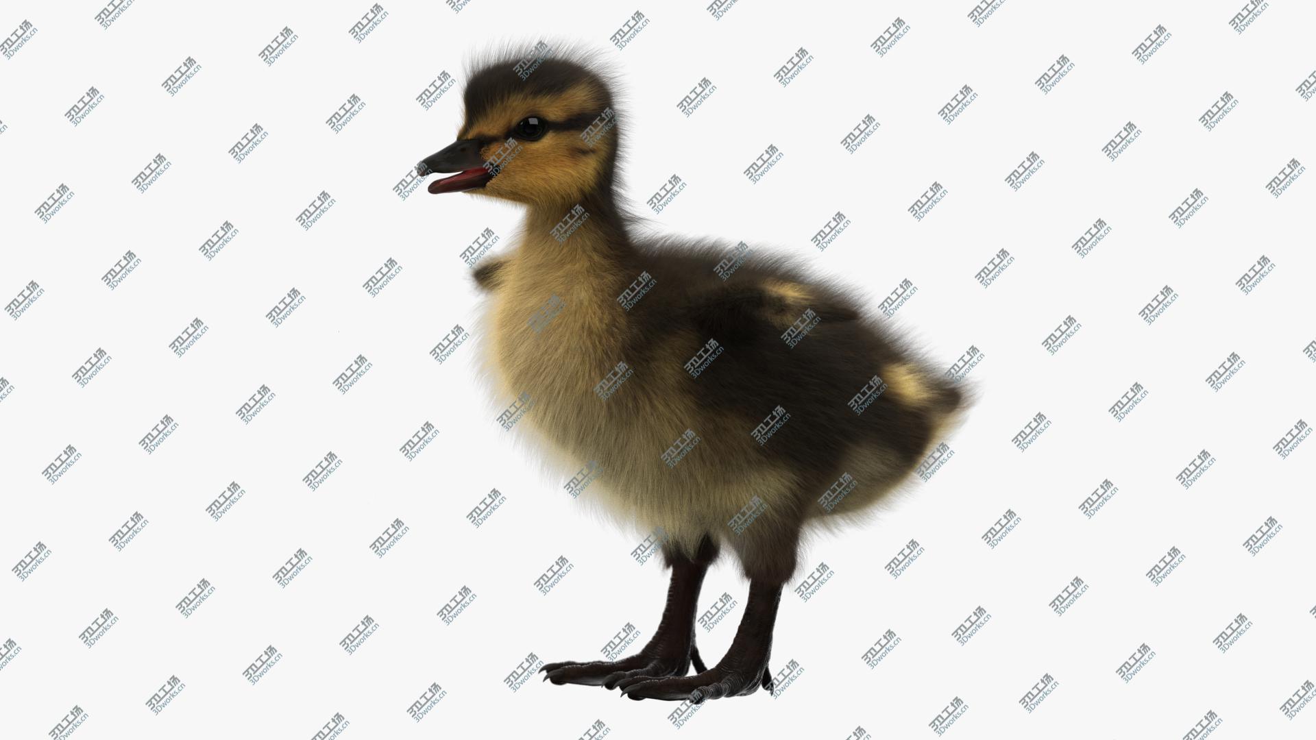 images/goods_img/20210313/Duckling 3D model/2.jpg